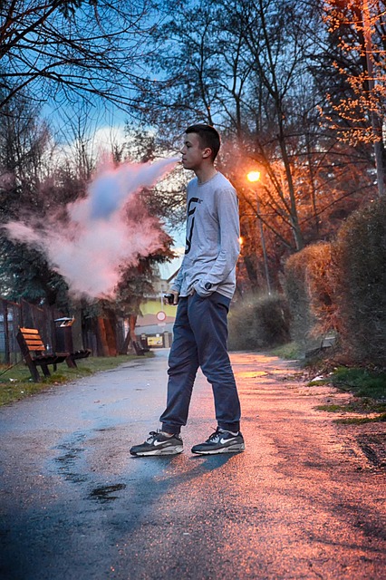 nicotine salt juice