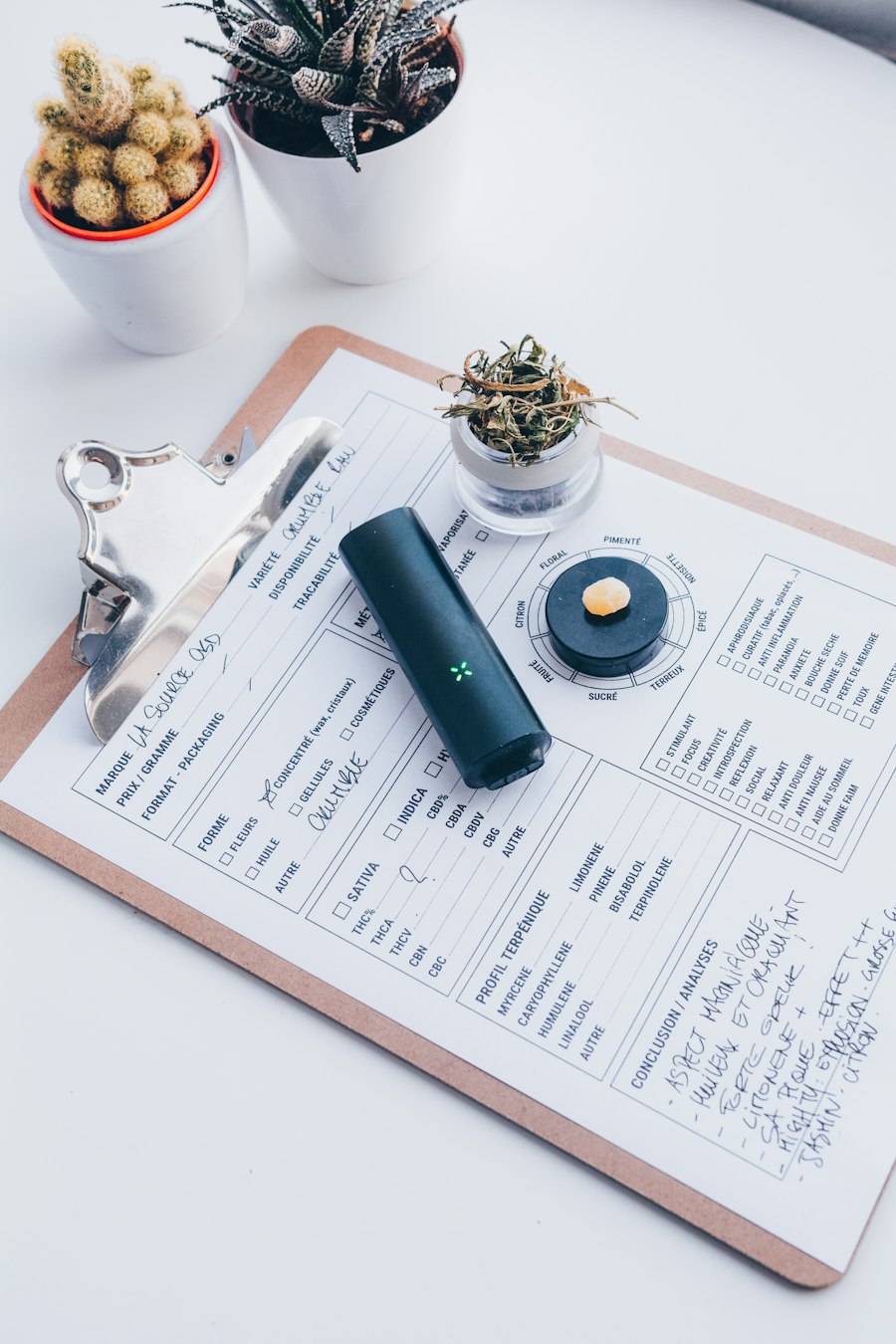 nicotine salt juice